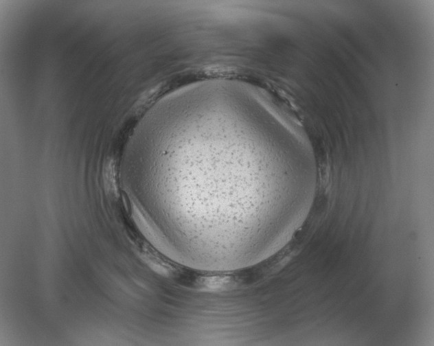 X0000080770575200701051305