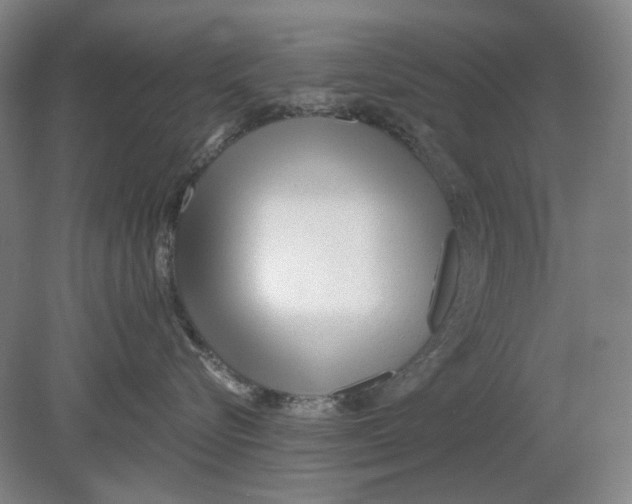 X0000080770576200701051305