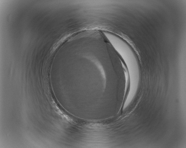 X0000080770577200701051304