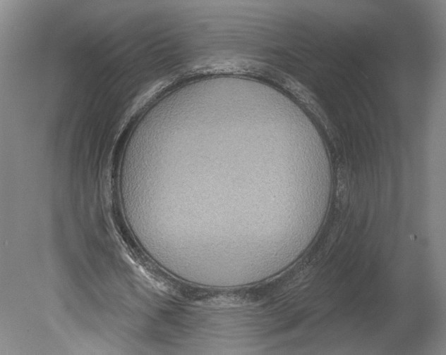 X0000080770578200701051304