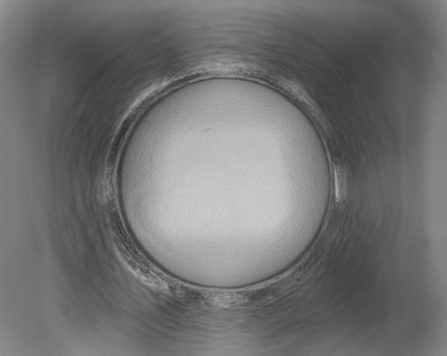 X0000080770579200701051304