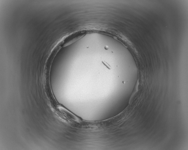 X0000080770580200701051304