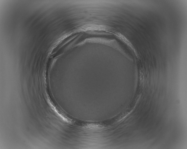 X0000080770581200701051304