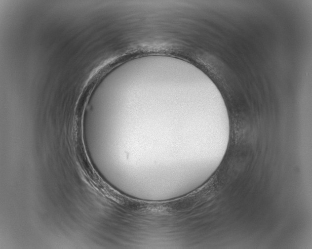 X0000080770583200701051304