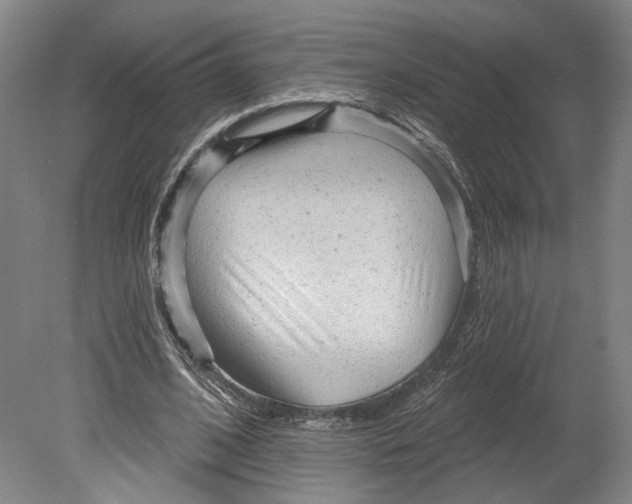 X0000080770584200701051304