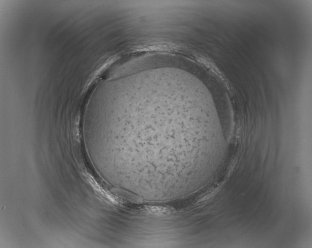 X0000080770585200701051304