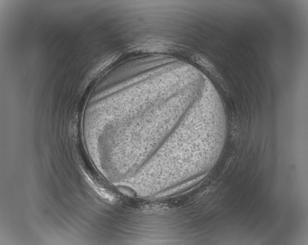 X0000080770586200701051304