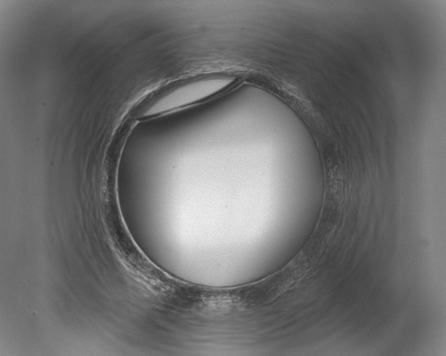 X0000080770587200701051304