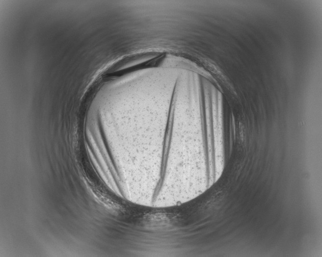 X0000080770588200701051304