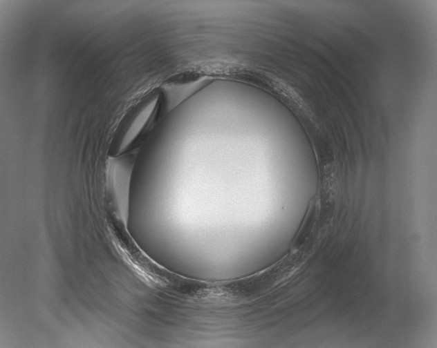 X0000080770589200701051304