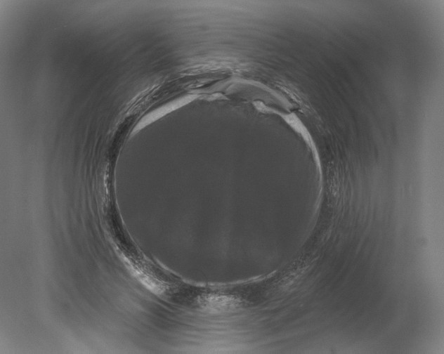 X0000080770590200701051304