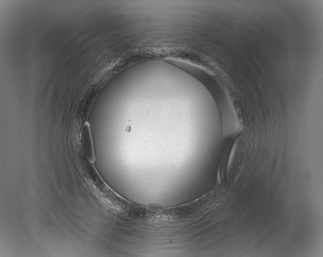 X0000080770593200701051304