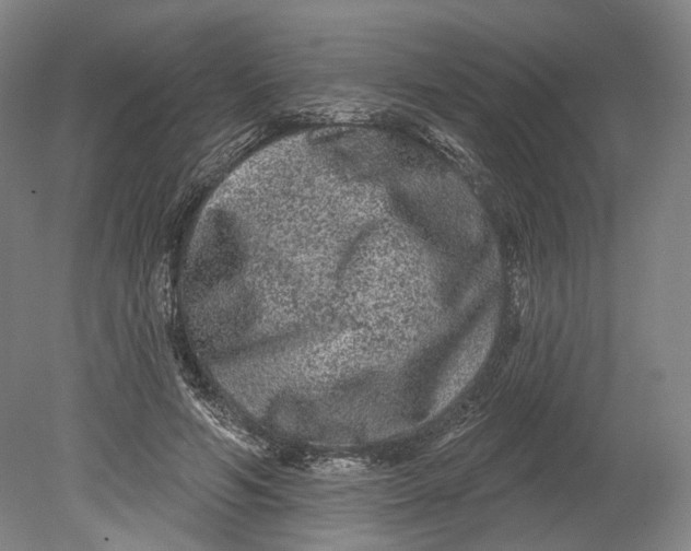 X0000080770594200701051304