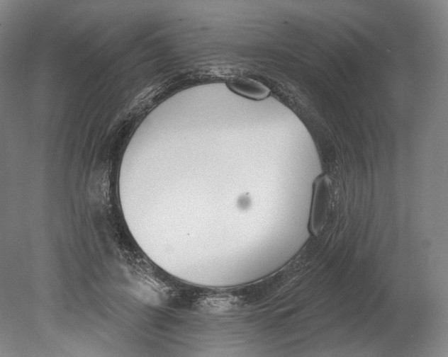 X0000080770595200701051304