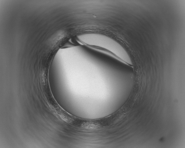 X0000080770597200701051304