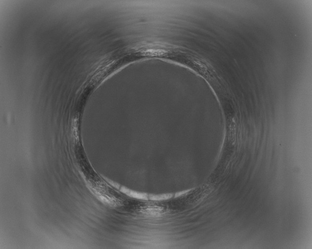 X0000080770598200701051304