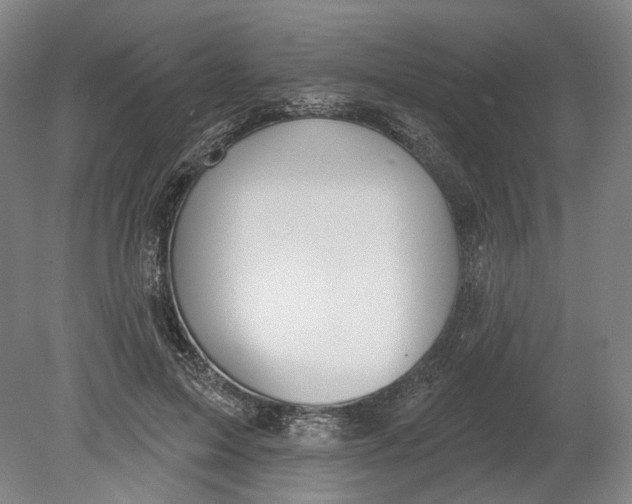 X0000080770599200701051304