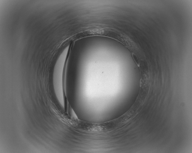 X0000080770600200701051304