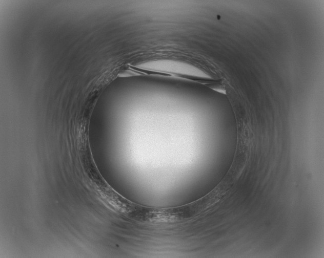 X0000080770601200701051304