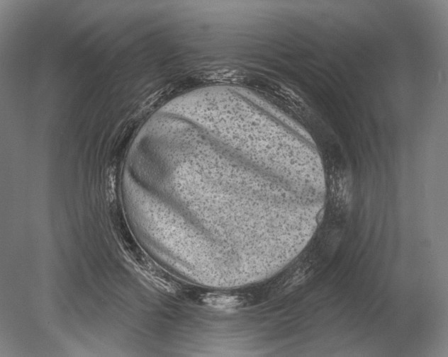 X0000080770602200701051304