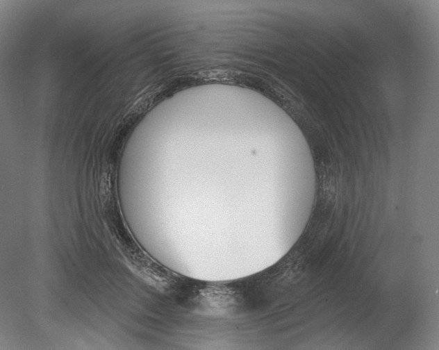 X0000080770603200701051304