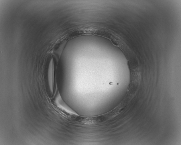 X0000080770604200701051304