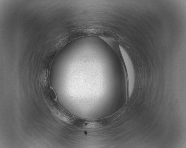 X0000080770605200701051304