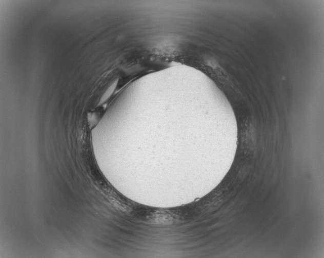 X0000080770608200701051304