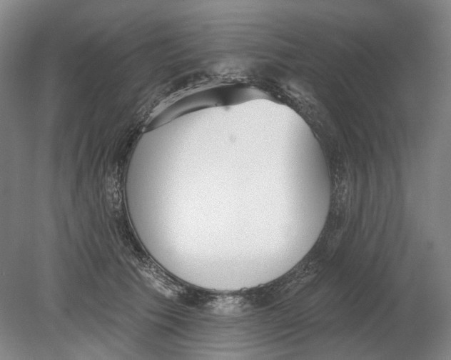 X0000080770609200701051303