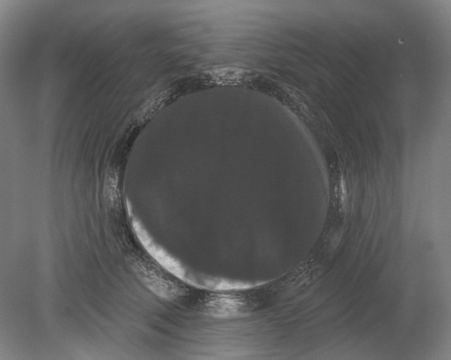 X0000080770610200701051303