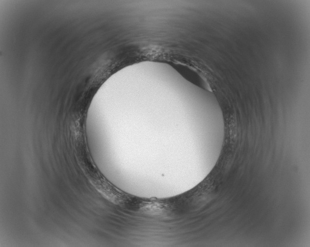 X0000080770611200701051303