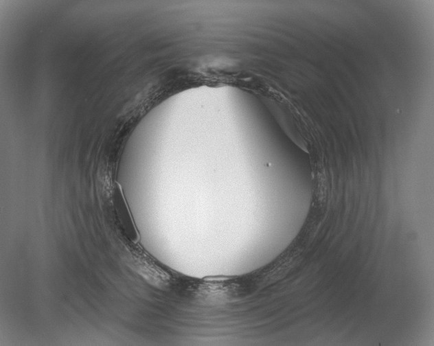 X0000080770613200701051303