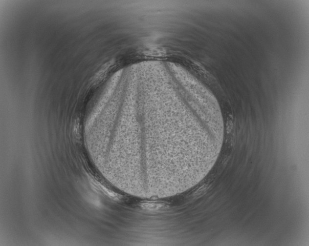 X0000080770614200701051303