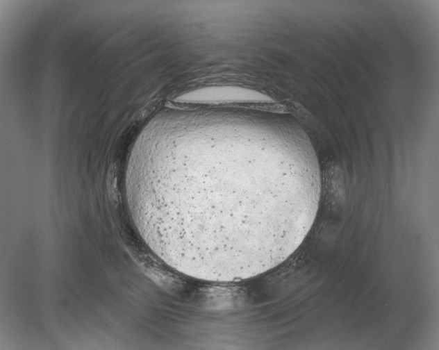 X0000080770615200701051303