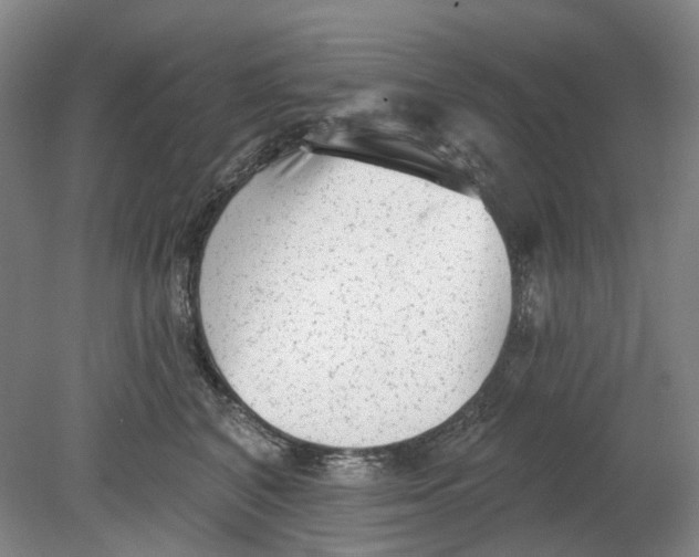 X0000080770616200701051303