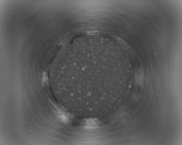 X0000080770618200701051303