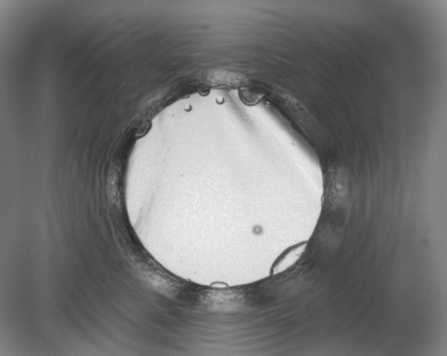 X0000080770619200701051303