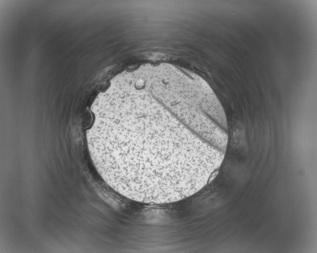 X0000080770620200701051303