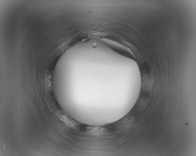 X0000080770621200701051303