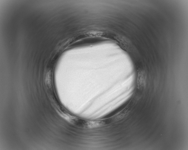 X0000080770623200701051303