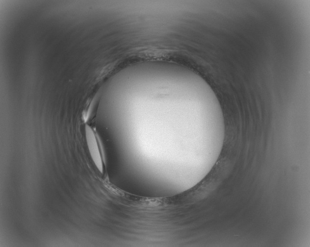 X0000080770624200701051303