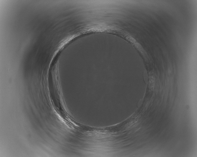 X0000080770626200701051302