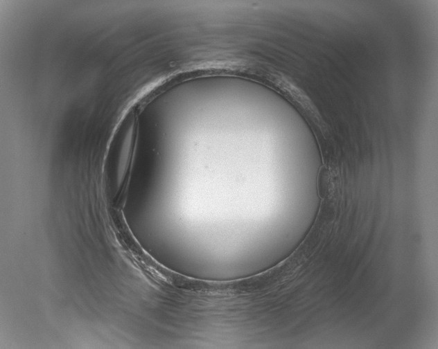 X0000080770628200701051302