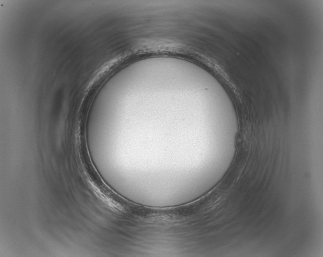 X0000080770629200701051303