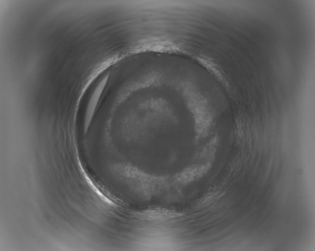 X0000080770630200701051303