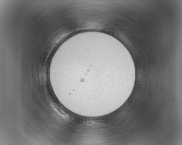 X0000080770632200701051303