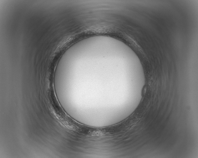 X0000080770635200701051303