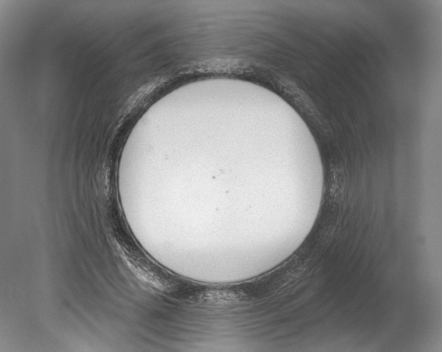 X0000080770636200701051303