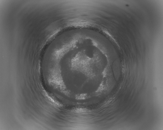 X0000080770637200701051303