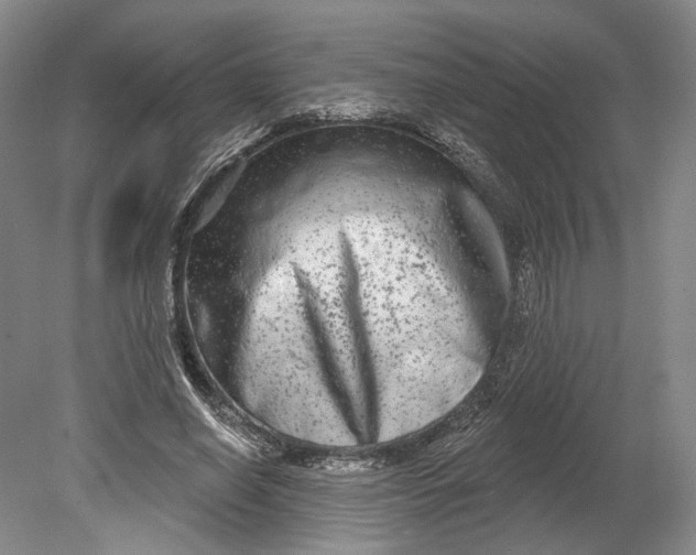 X0000080770638200701051303